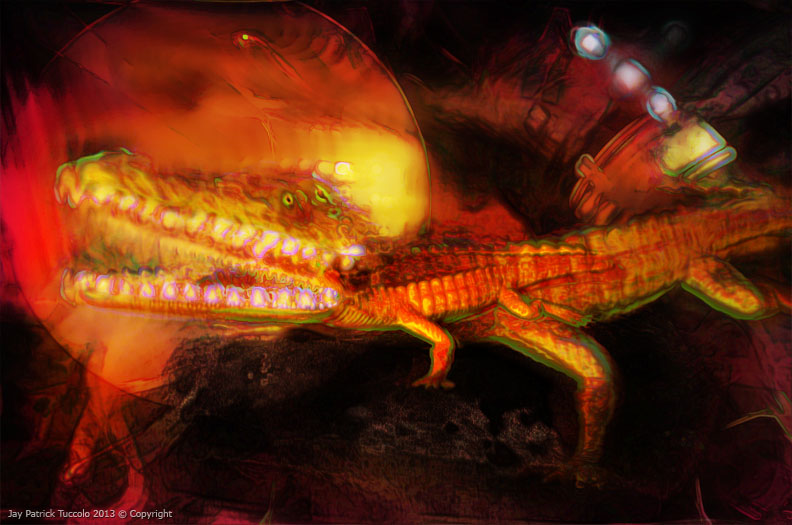 Eastern Lizard (Alligator Memory), Jay P. Tuccolo 02-2013